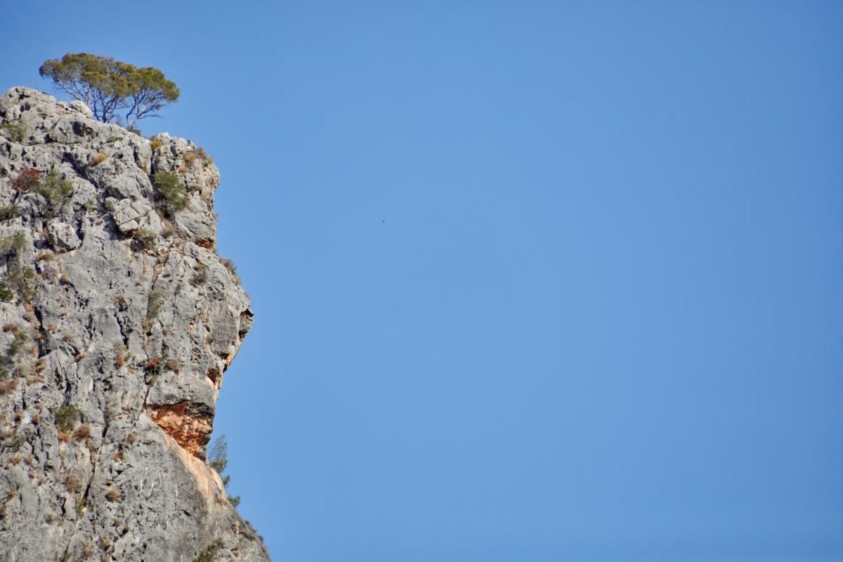 Agroturismo Alquería Blanca