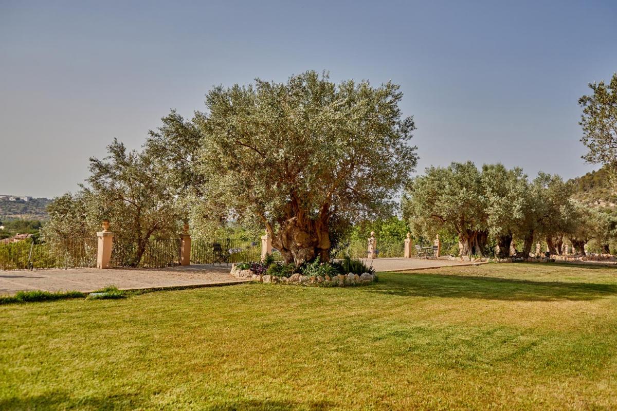 Agroturismo Alquería Blanca