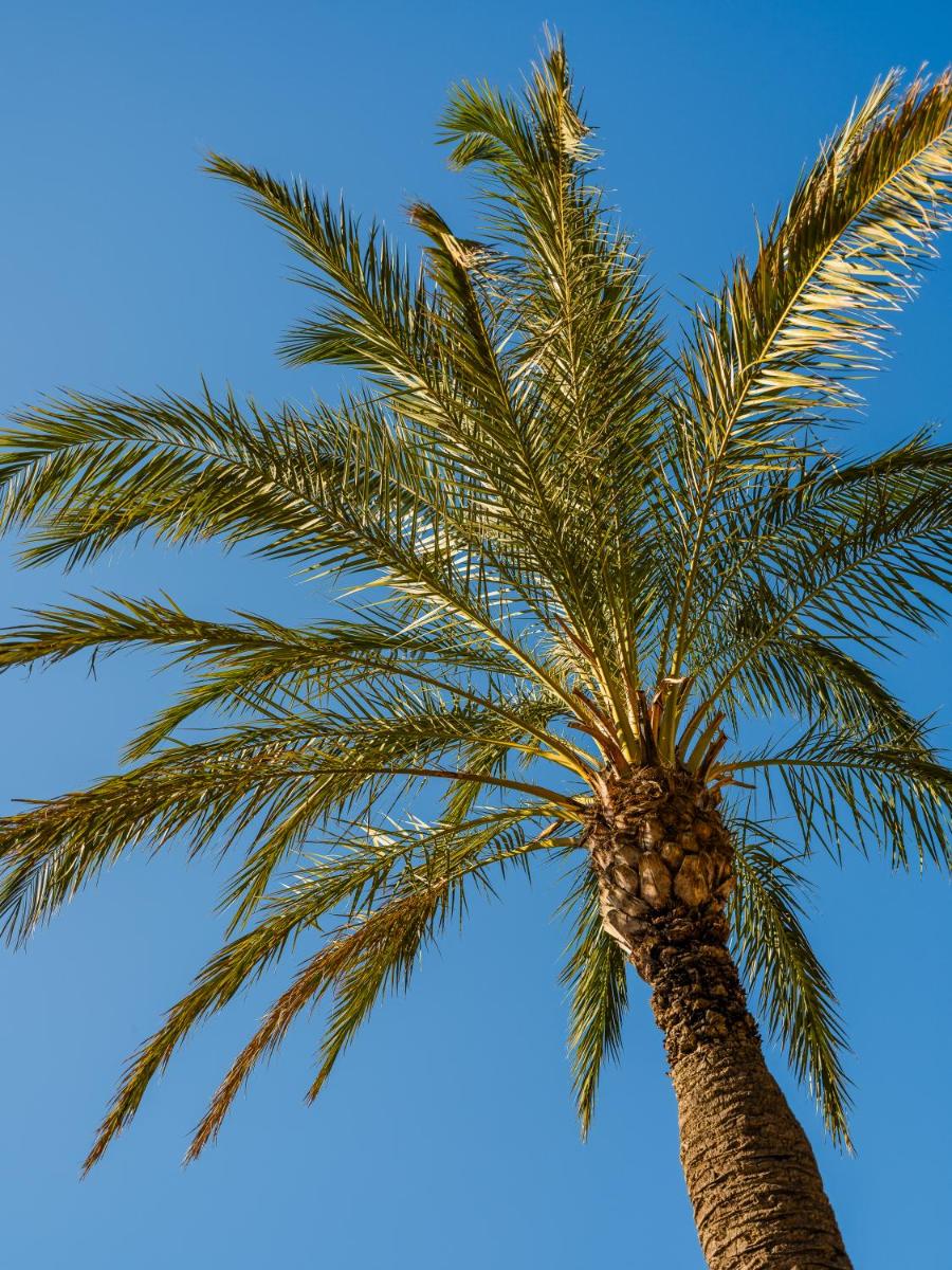Altafiumara Resort & Spa