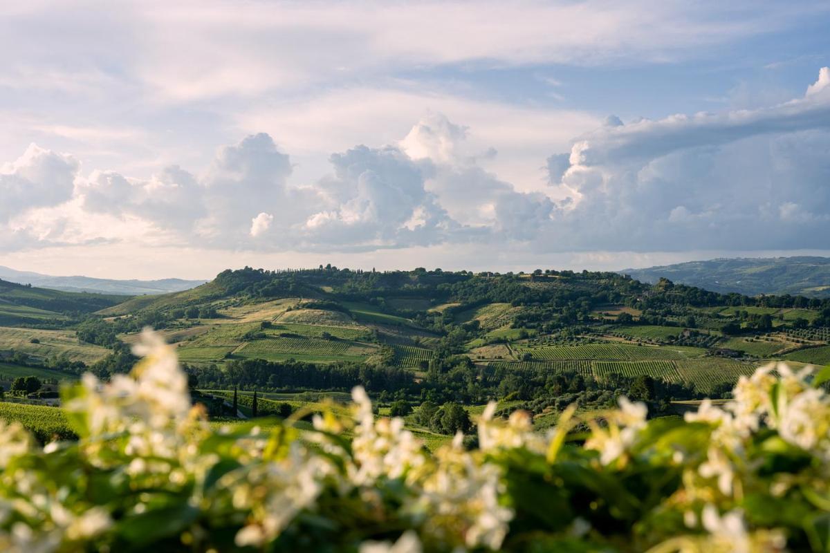 Altarocca Wine Resort Adults Only