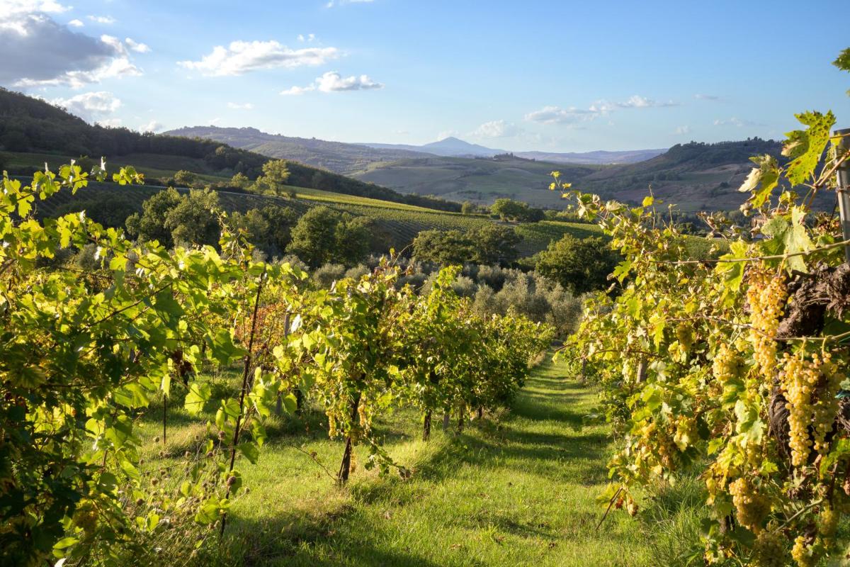 Altarocca Wine Resort Adults Only