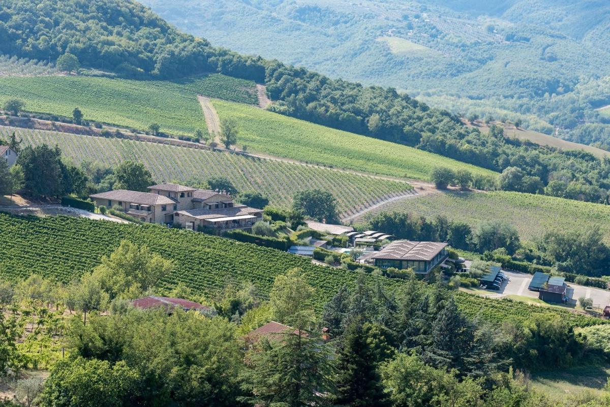 Altarocca Wine Resort Adults Only