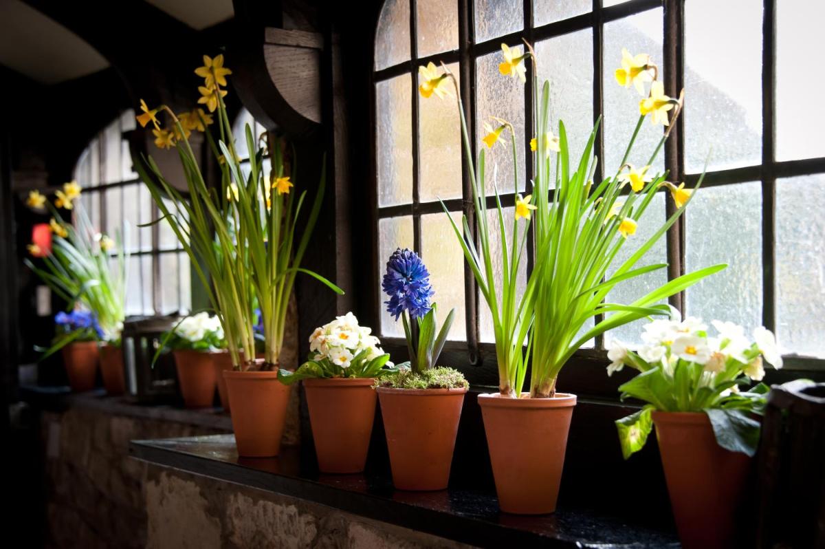 Amberley Castle- A Relais & Chateaux Hotel