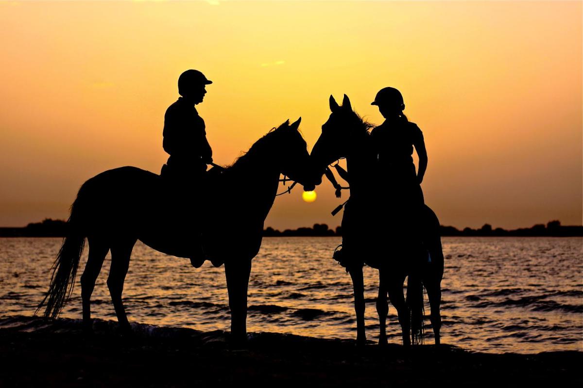 Anantara Desert Islands Resort & Spa