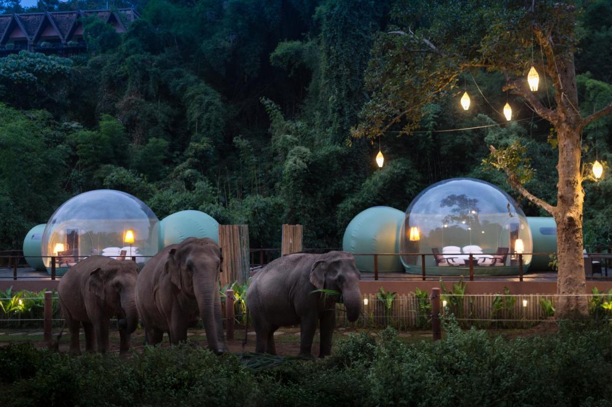 Anantara Golden Triangle Elephant Camp & Resort
