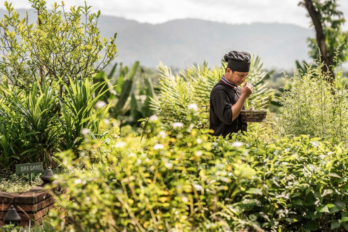 Anantara Golden Triangle Elephant Camp & Resort