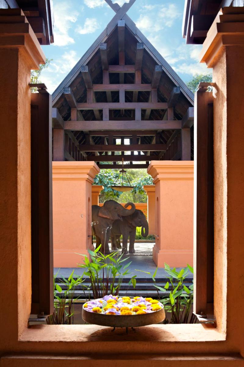 Anantara Golden Triangle Elephant Camp & Resort