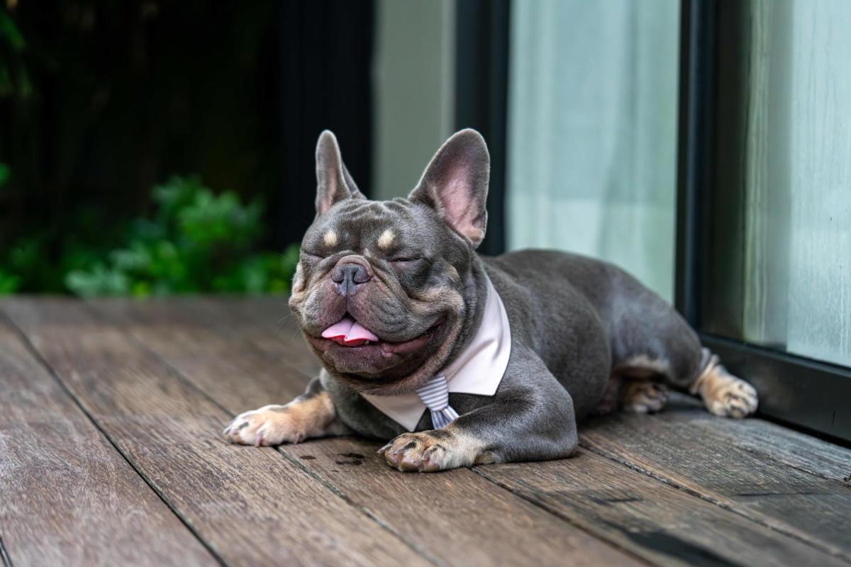 Anantara Layan Phuket Resort