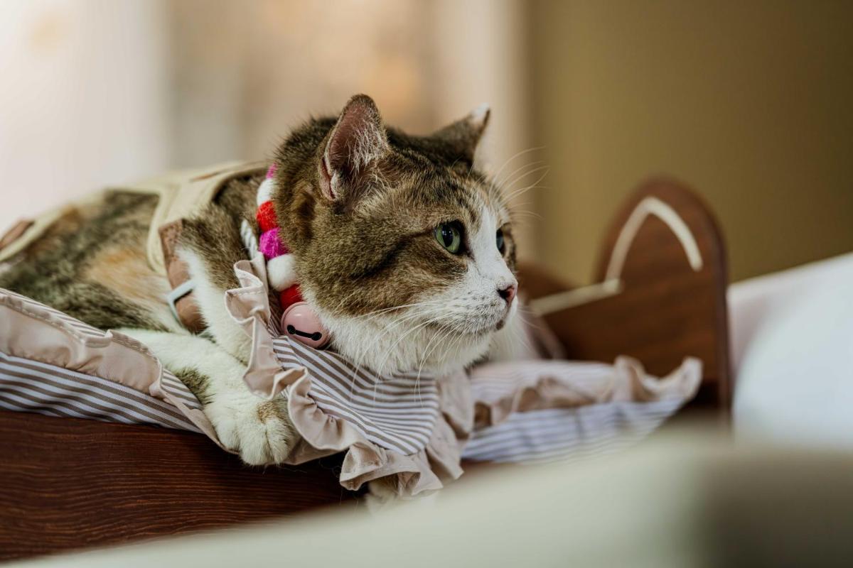 Anantara Layan Phuket Resort