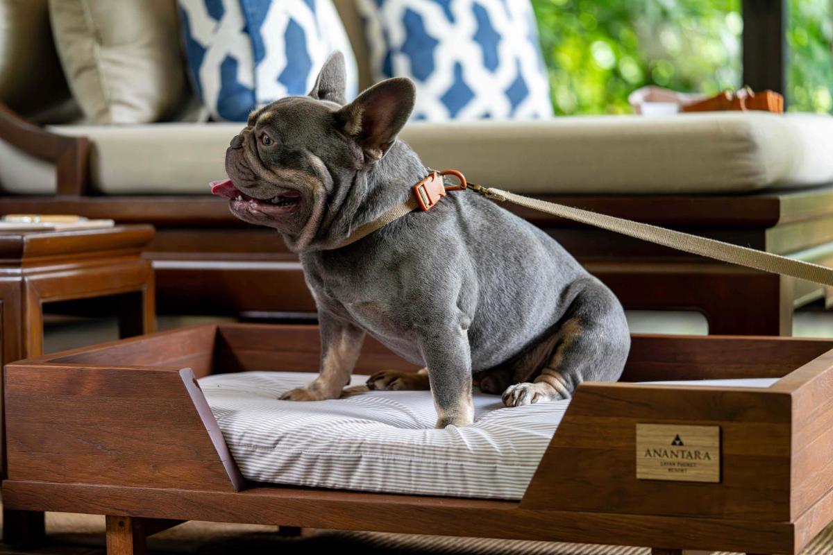Anantara Layan Phuket Resort