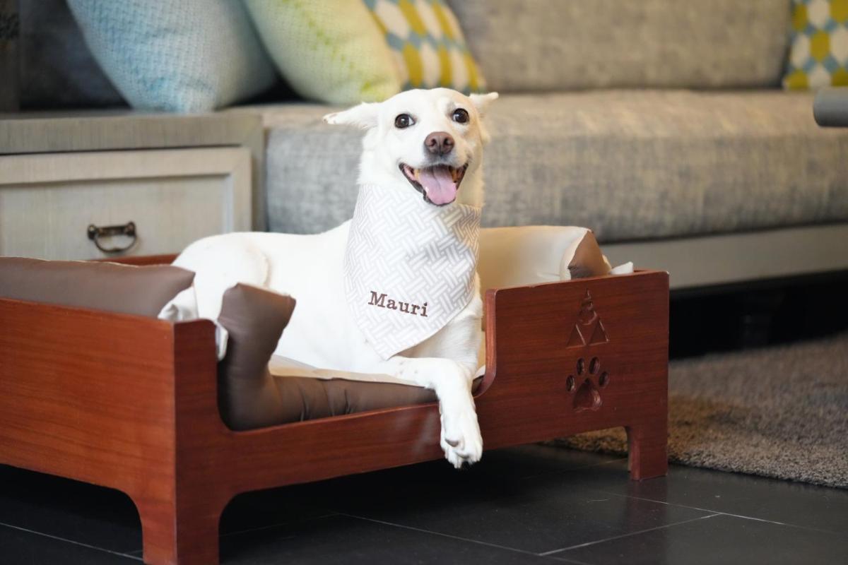 Anantara Mai Khao Phuket Villas