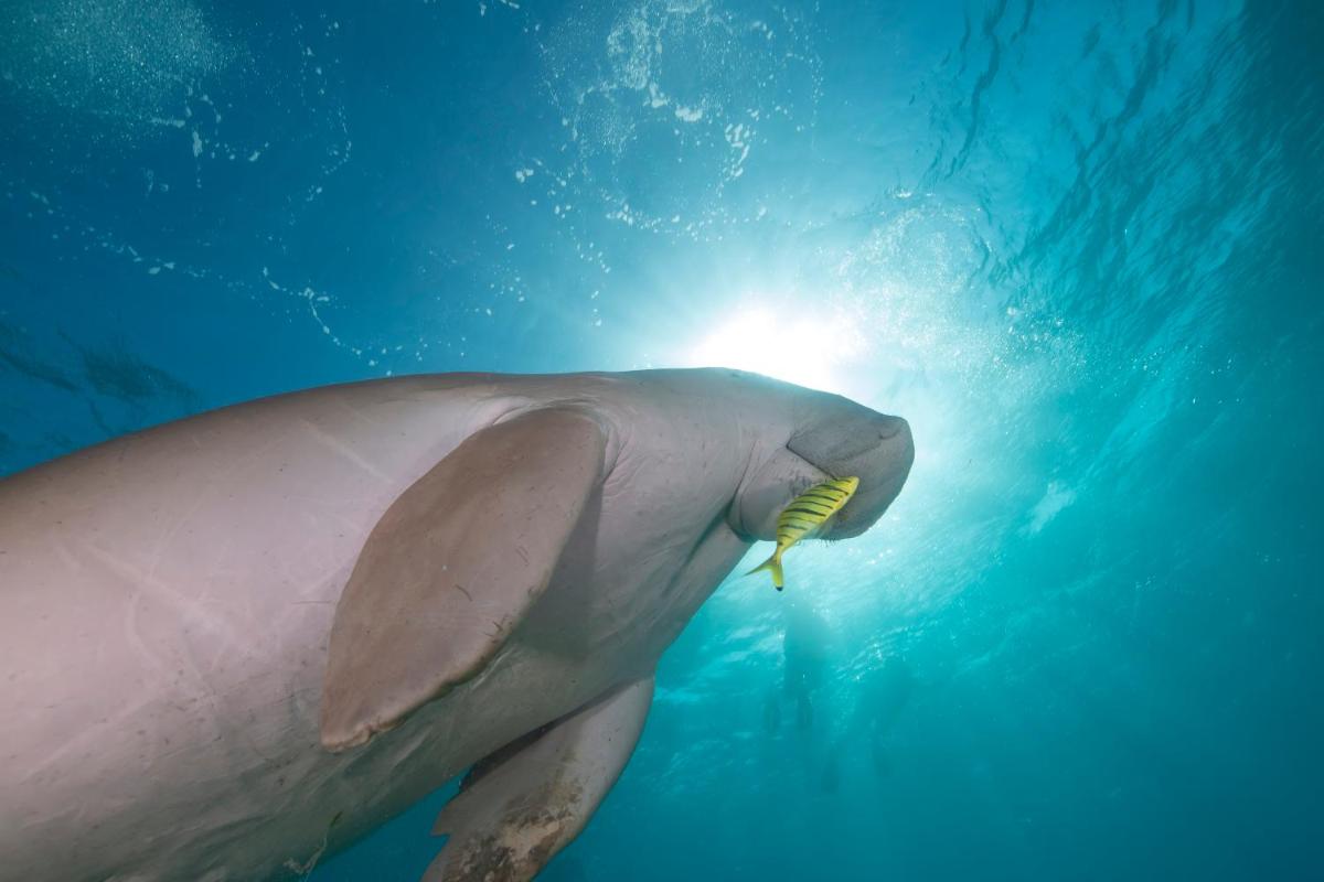 Anantara Si Kao Resort