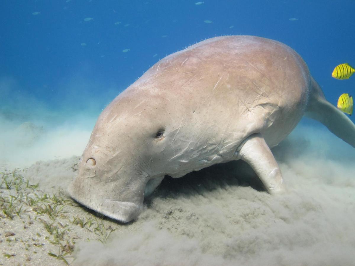 Anantara Si Kao Resort