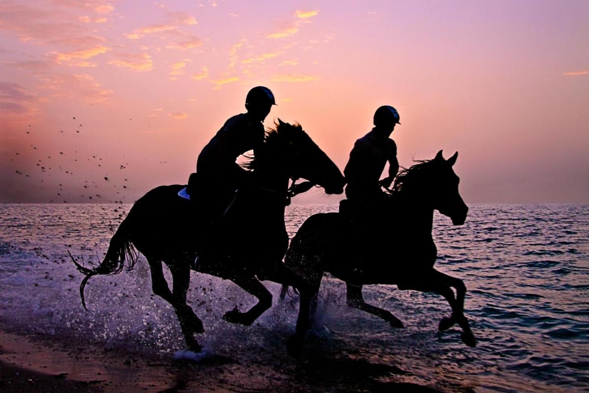 Anantara Sir Bani Yas Island Al Sahel Villas