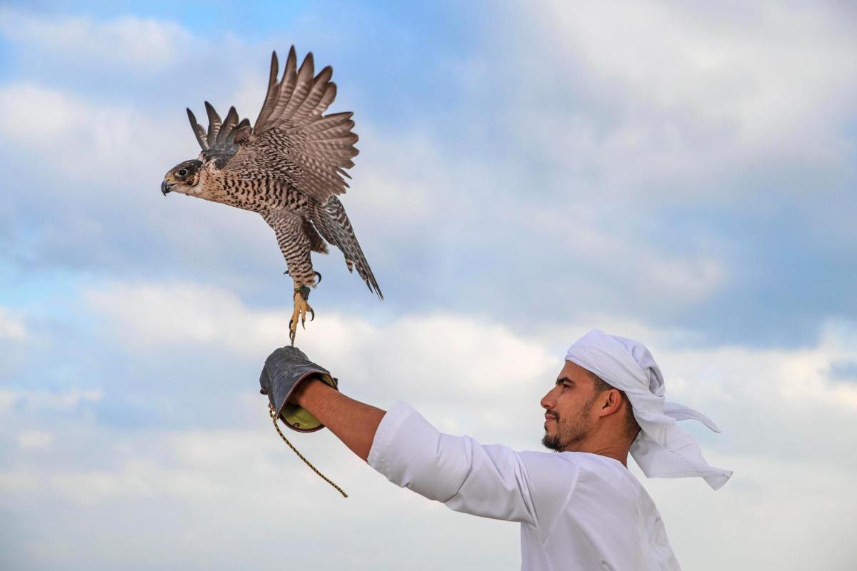 Anantara Sir Bani Yas Island Al Sahel Villas