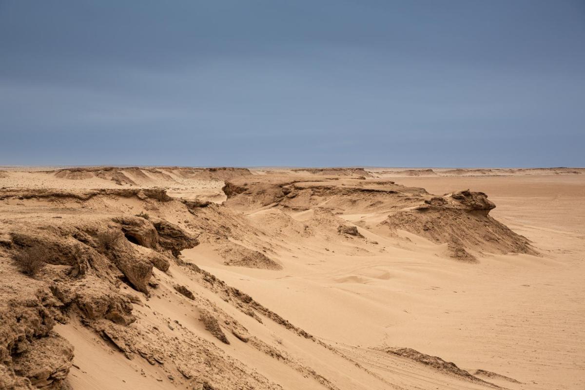 The Mora Sahara Tozeur