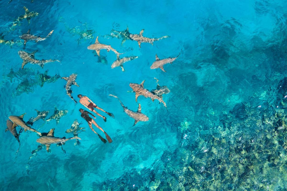 Anantara Veli Maldives Resort - Adults Only