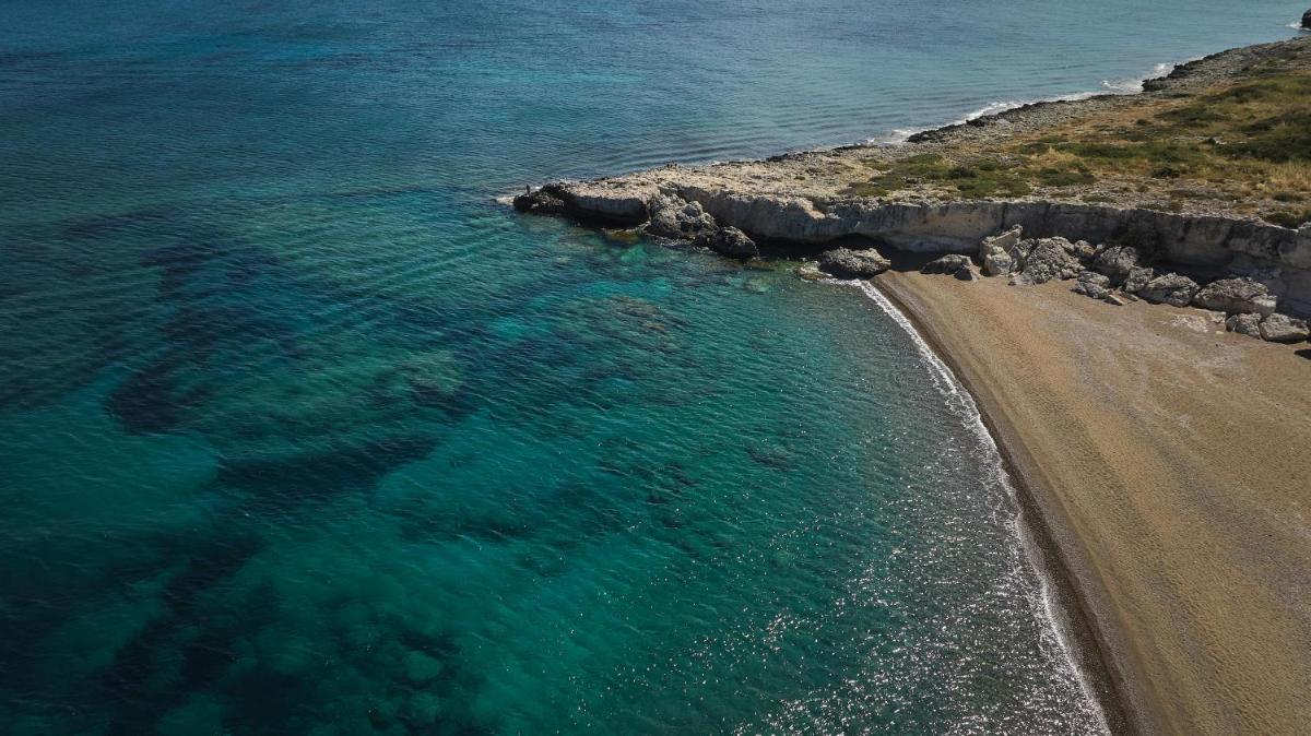 Anassa