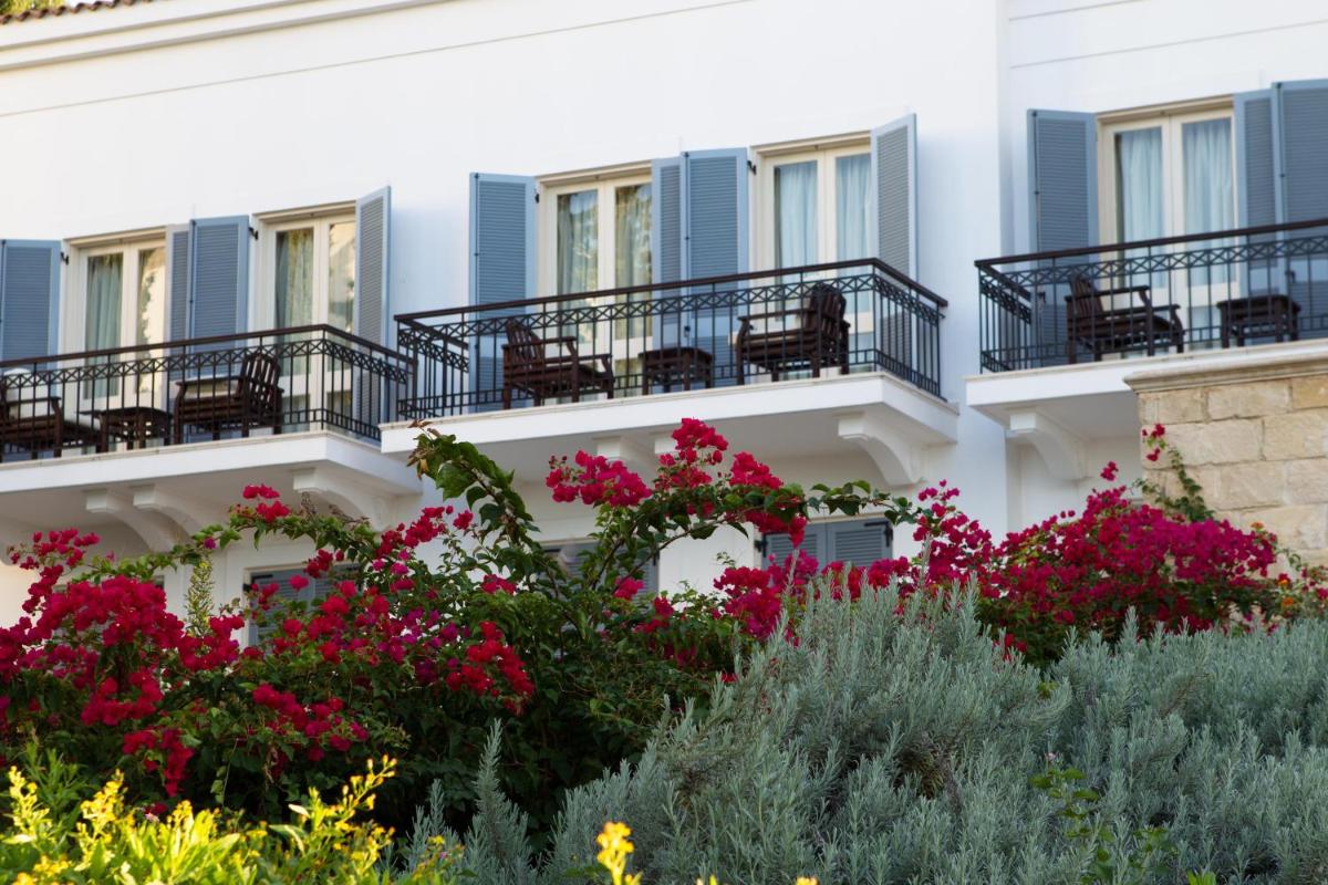 Anassa