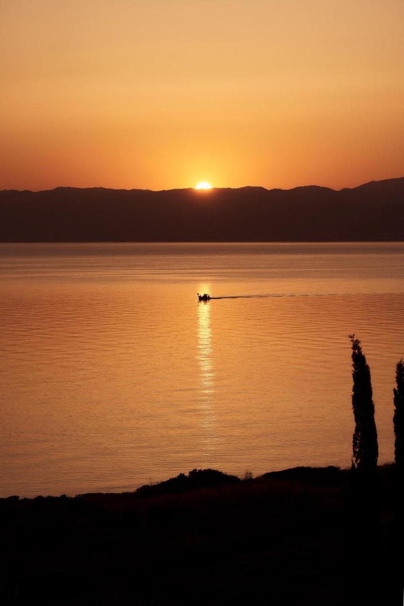 Anassa