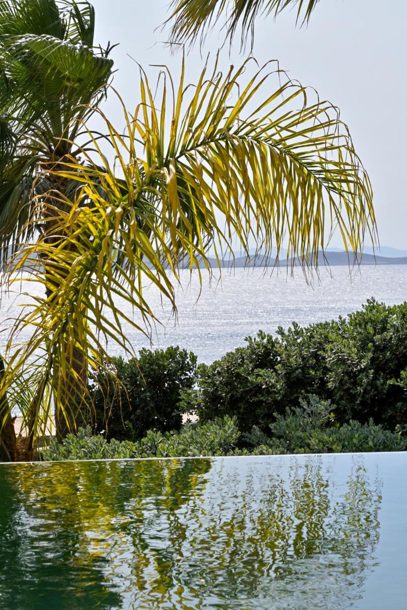 Anax Resort and Spa