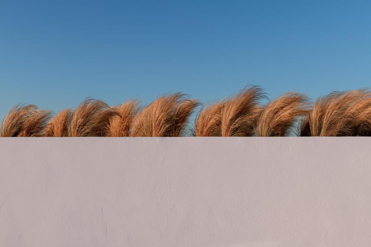 Andronis Arcadia Hotel