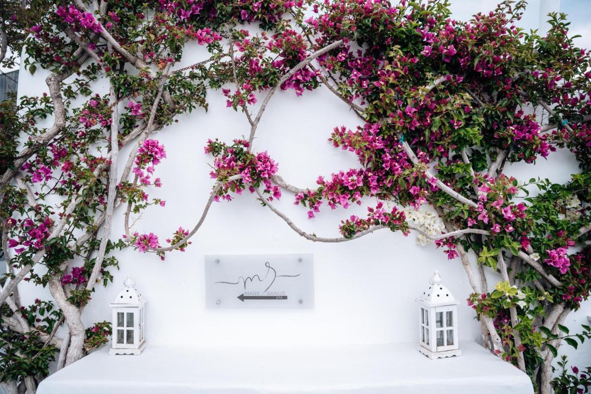 Andronis Luxury Suites