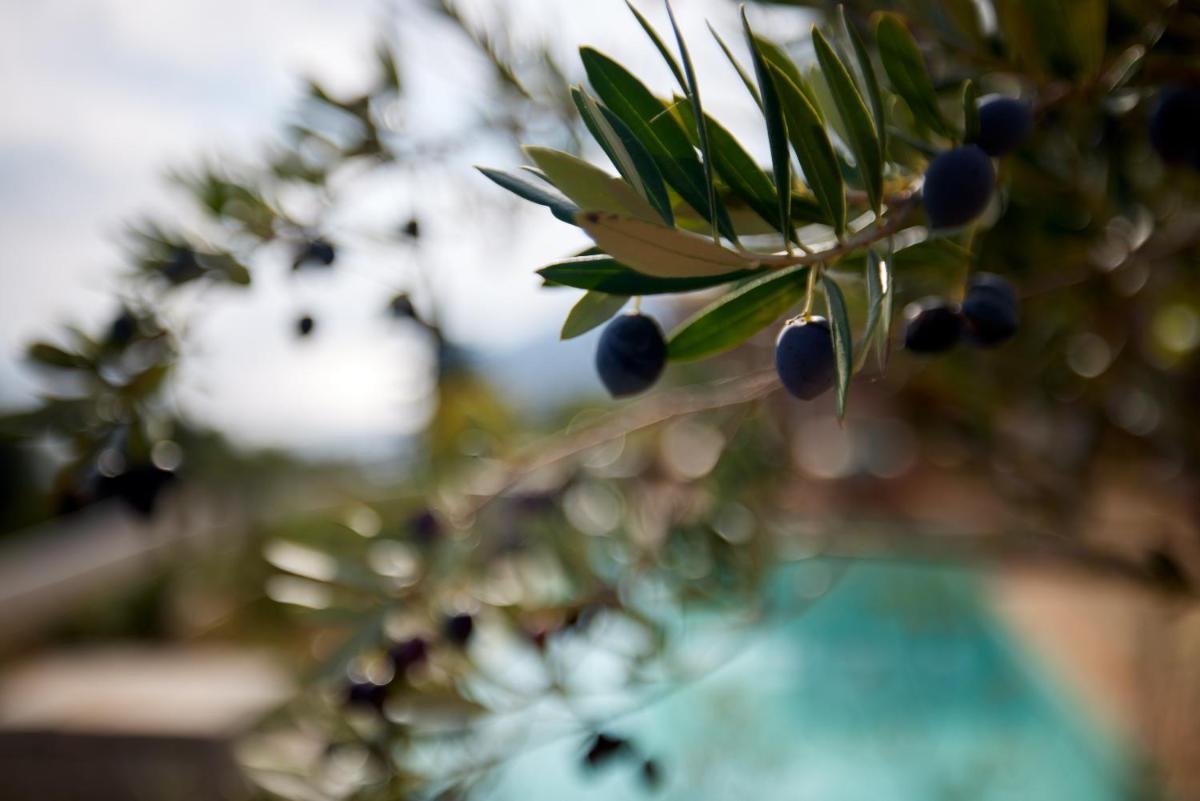 Angsana Corfu Resort & Spa