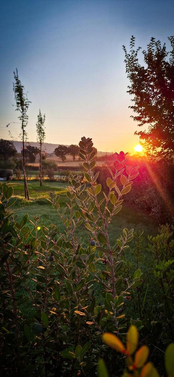 Anna Boccali Resort