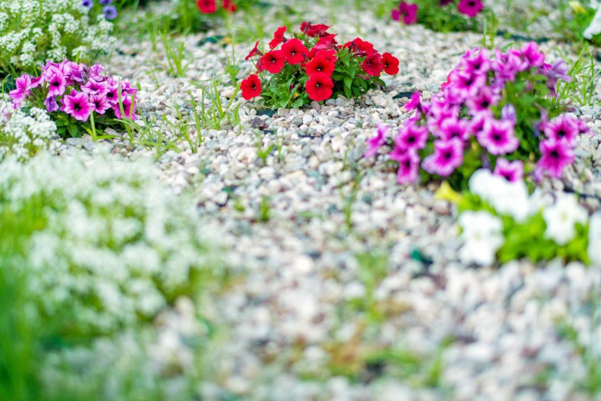 Anthemion Suites and Villas