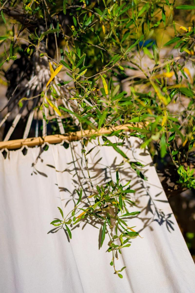 Anthemion Suites and Villas