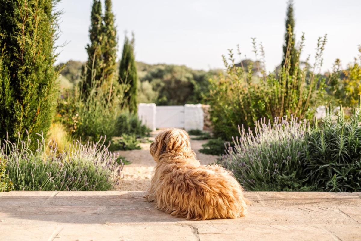 Amagatay Luxury Boutique Hotel - Adults Only