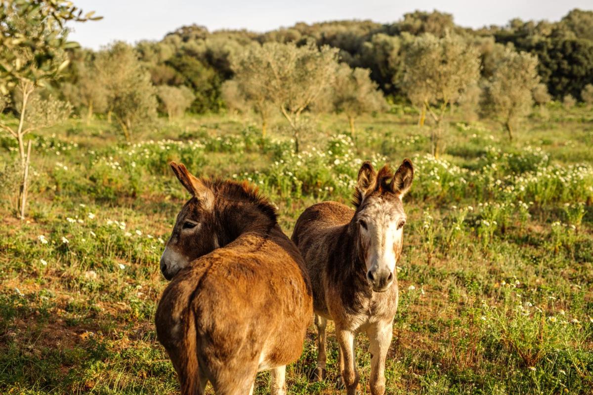 Amagatay Luxury Boutique Hotel - Adults Only