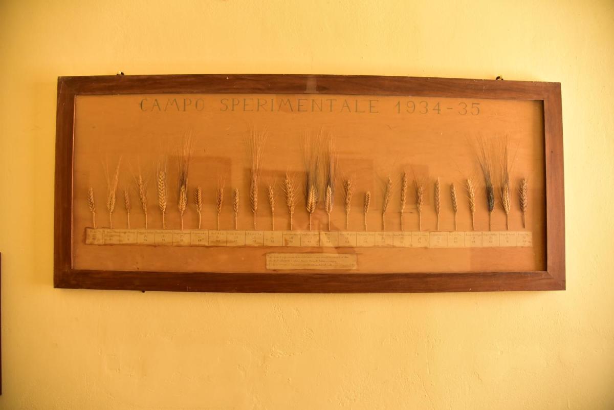 Antico Feudo San Giorgio