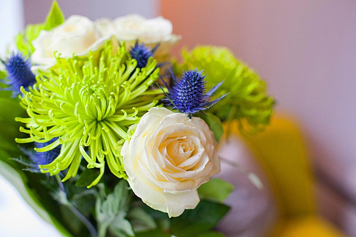 Apple Apartments The Strand