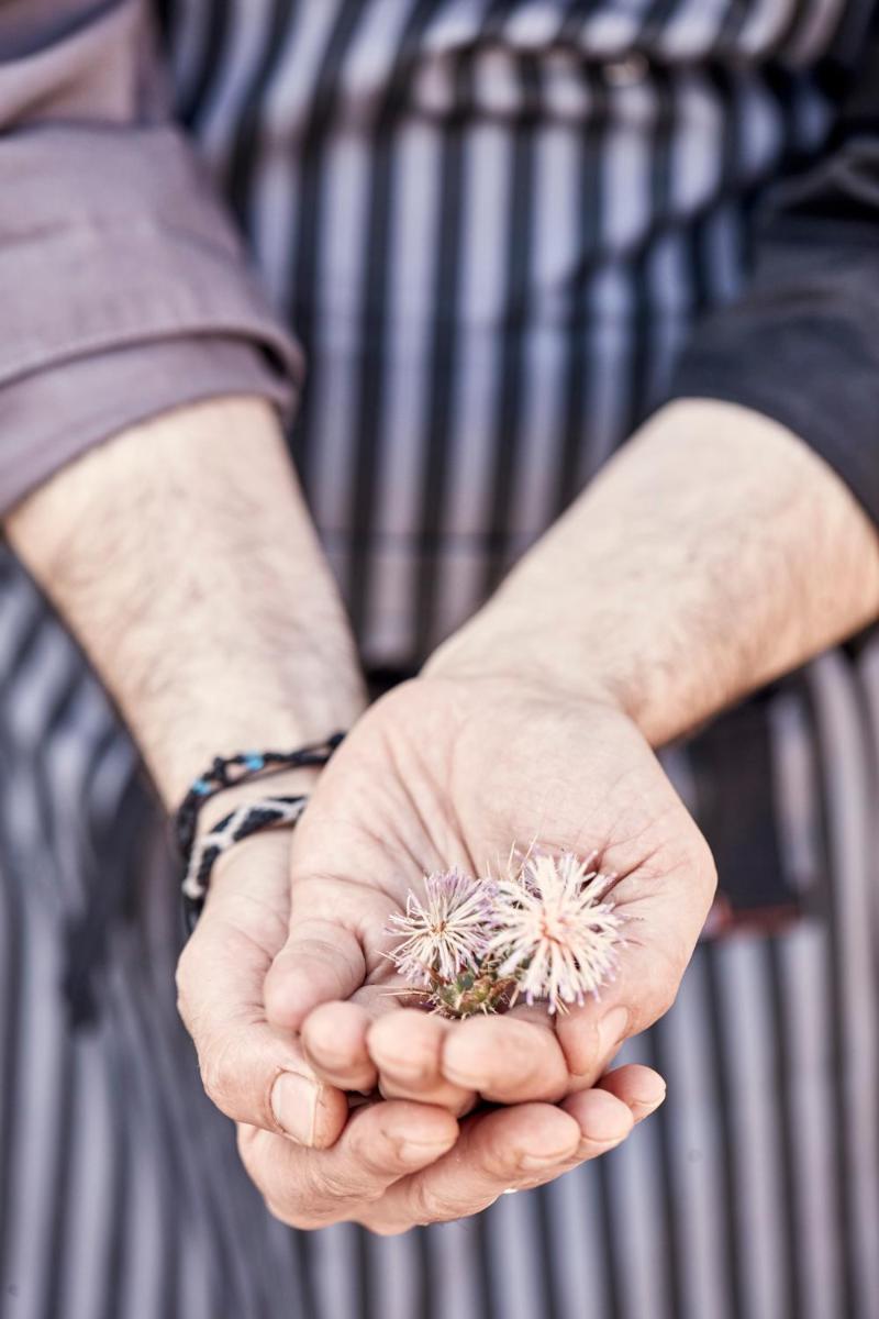 Archipelagos Hotel - Small Luxury Hotels of the World