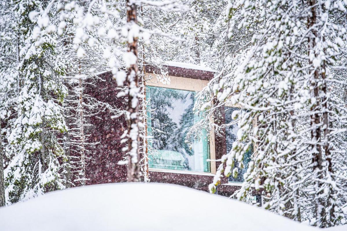 Arctic TreeHouse Hotel