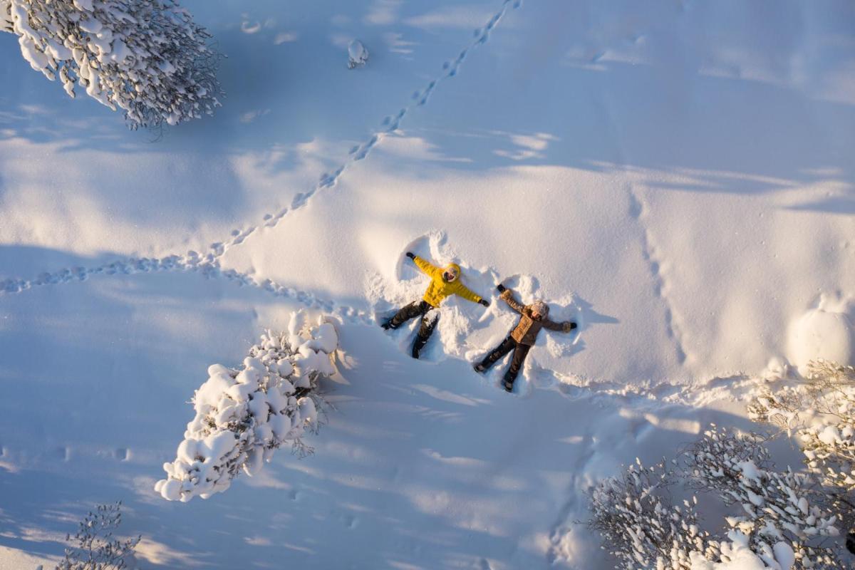 Arctic TreeHouse Hotel