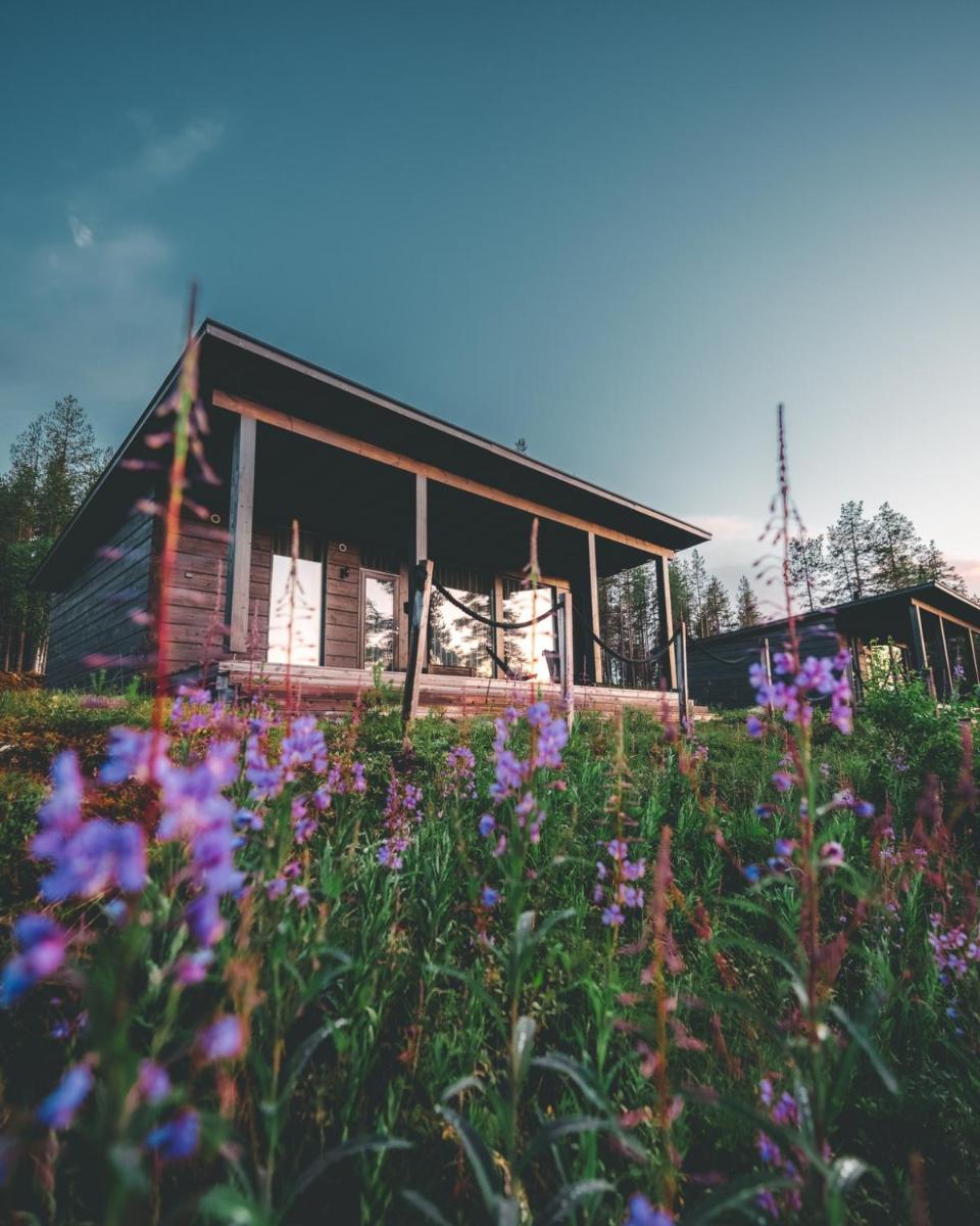 Arctic TreeHouse Hotel