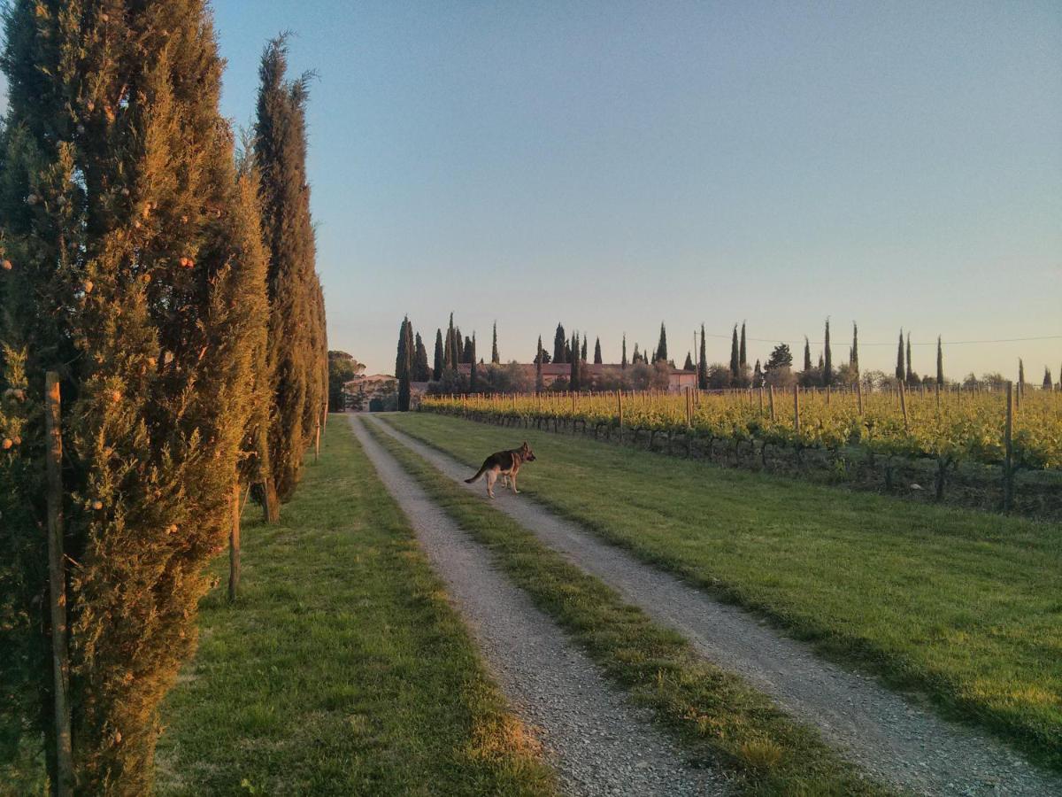 Argiano Dimore Wine Relais