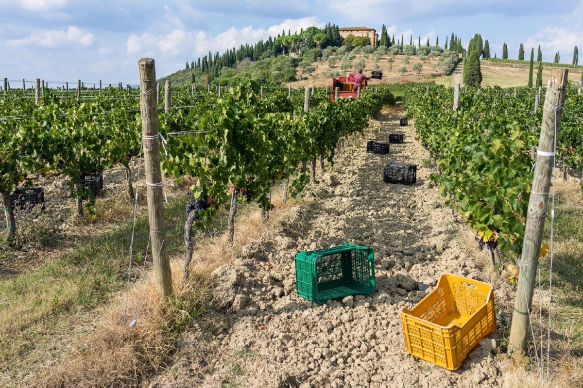 Argiano Dimore Wine Relais