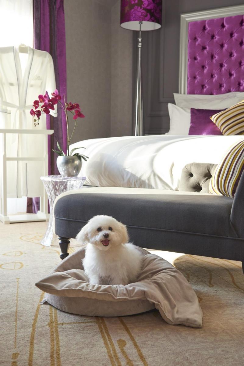 Aria Hotel Budapest by Library Hotel Collection