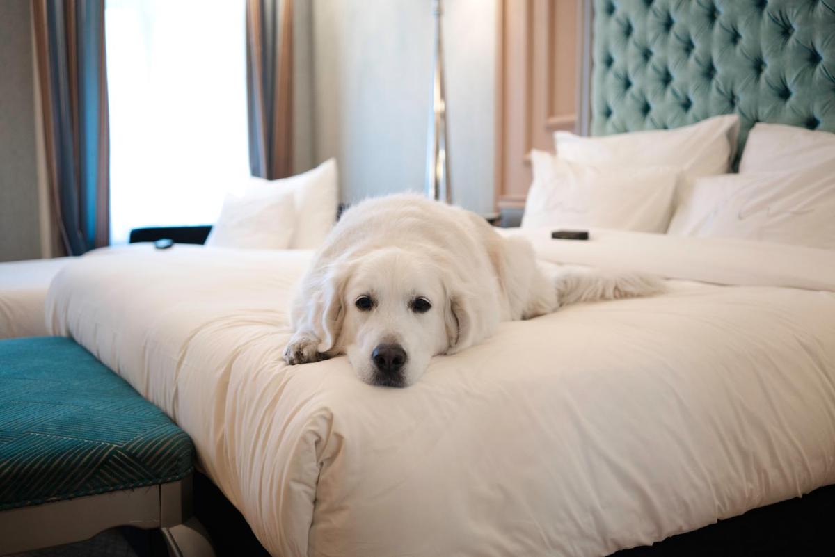 Aria Hotel Budapest by Library Hotel Collection