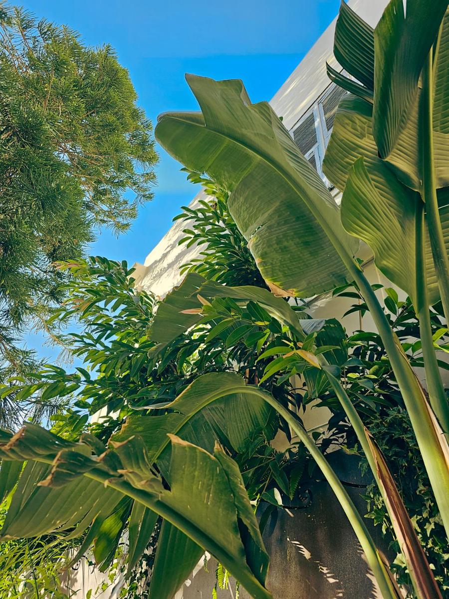 Aristide Hotel - Small Luxury Hotels of the World