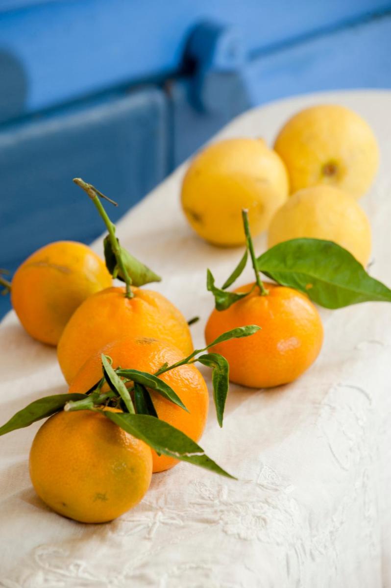 Arkhé Hotel Boutique Pals