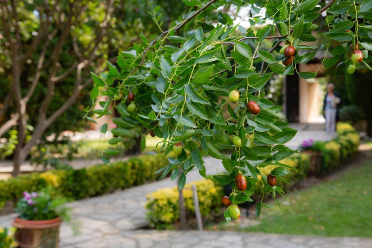 Auberge de Cassagne & Spa