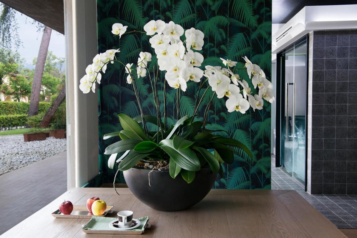 Augustus Hotel & Resort