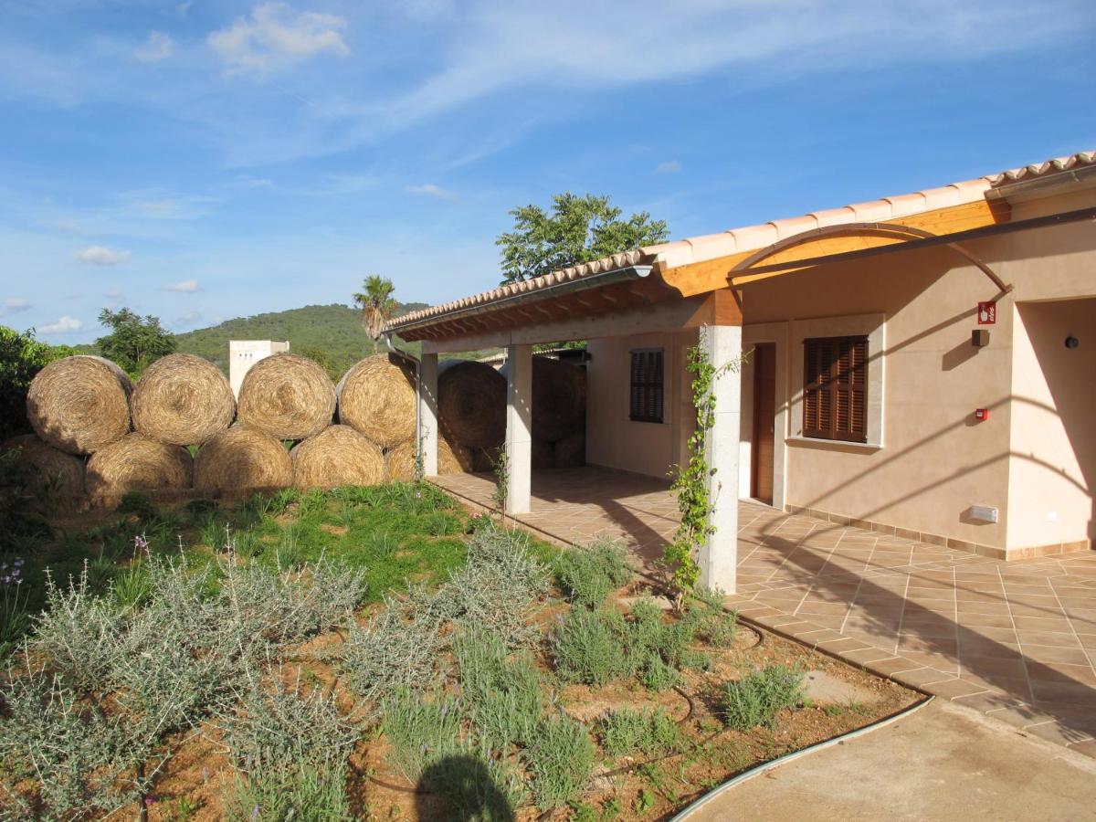 Aumallia Hotel & Spa