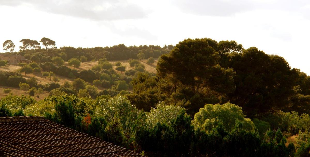 Aumallia Hotel & Spa
