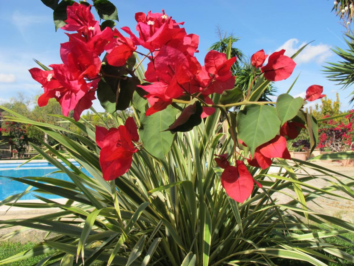 Aumallia Hotel & Spa